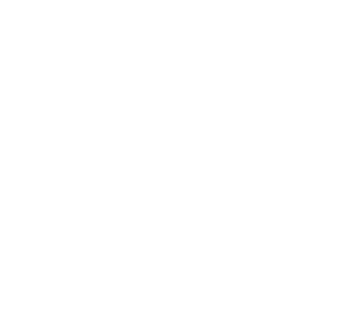 Little Earth Project brewery logo.